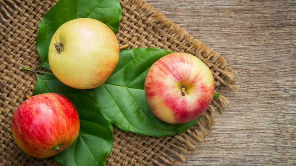 Four Amazing Benefits Of Eating Apples Daily/Doctall