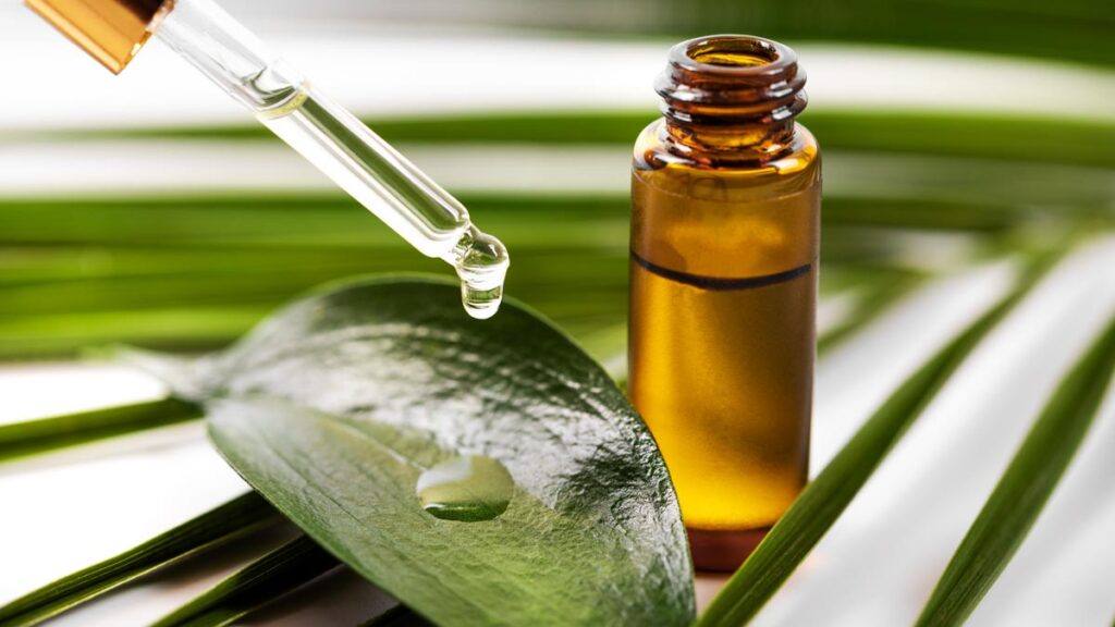 6 Benefits Of Tea Tree Oil You Should know